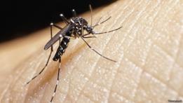 ¿Qué es el zika, el virus que se está propagando por América Latina?