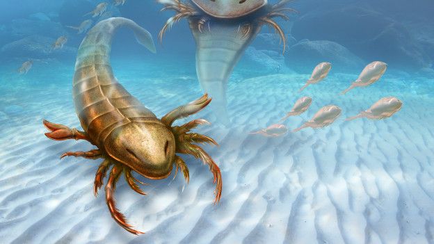 Así era el primer depredador gigante de la Tierra