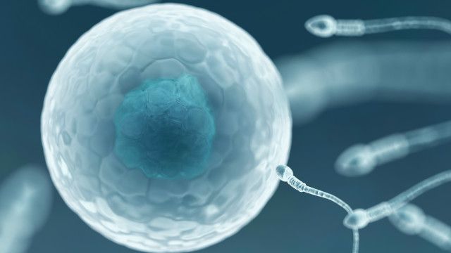 El banco de esperma en Reino Unido que sólo tiene nueve donantes