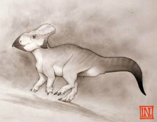 Lo que el descubrimiento de un dinosaurio "del tamaño de una oveja" nos dice de la formación de América del Norte