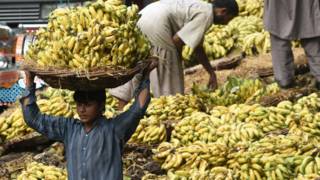 Por qué las bananas están en peligro de extinción