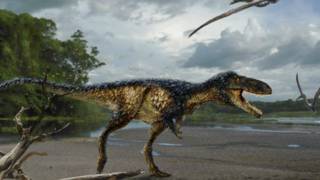 El hallazgo que puede ayudar a resolver uno de los grandes misterios en torno al T-Rex