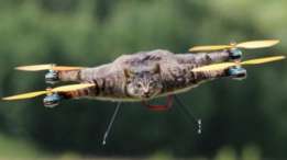 El hombre que convirtió a su gato mascota muerto en un dron