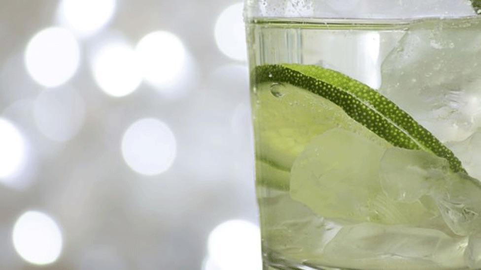 Quina, el casi extinto árbol medicinal del escudo de Perú que pocos patriotas conocen e inspiró el gin tonic