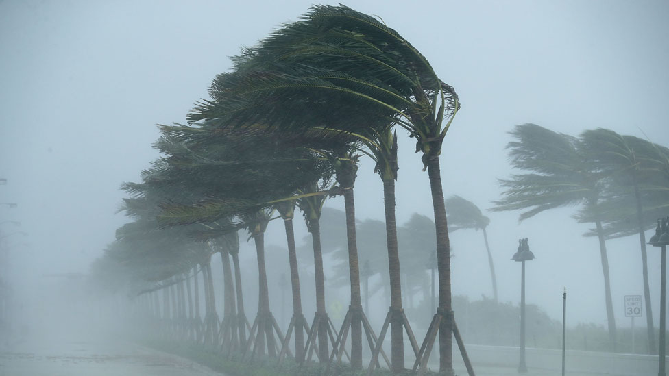 Cuál es la diferencia entre un huracán y un tornado: las inesperadas formas en las que también golpea Irma