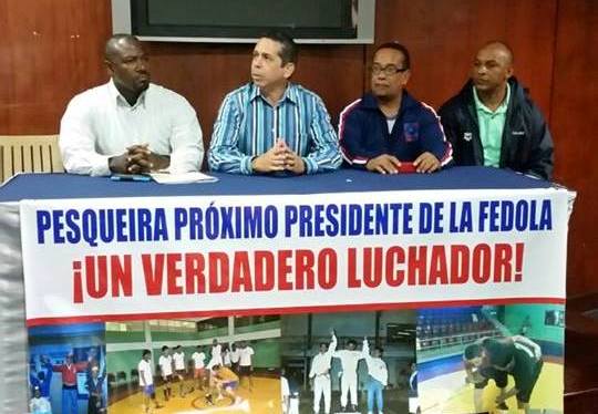 Cámara de Cuentas interviene Federación de Lucha