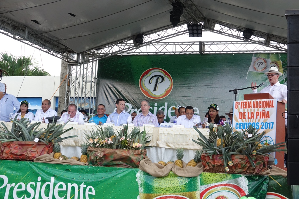 Abogan por mayores facilidades para producción de piña en la provincia Sánchez Ramírez
