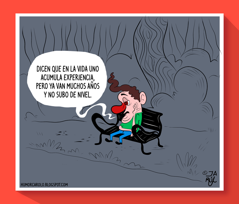 Experiencia de vida