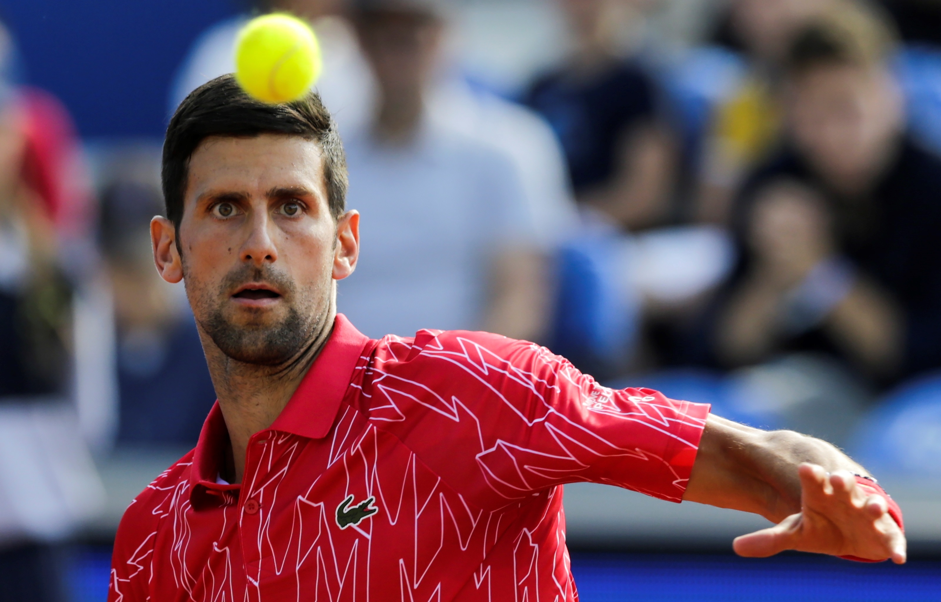 Djokovic se disculpa y su padre responsabiliza a otro tenista