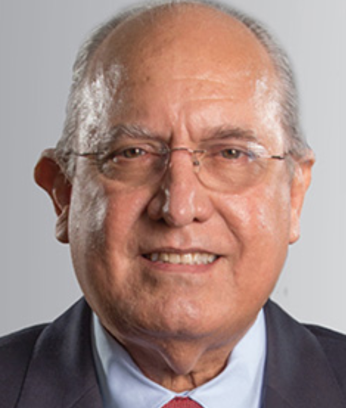 Mario Bergés