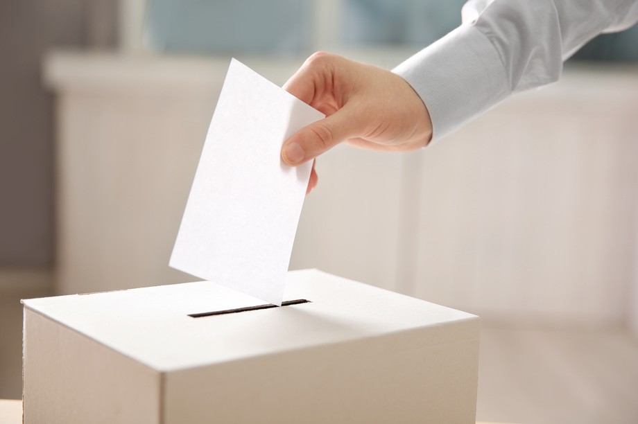 Participación Ciudadana pide votar 