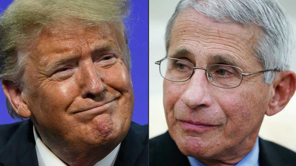 Coronavirus en Estados Unidos: la polémica entre la Casa Blanca y Anthony Fauci, el mayor experto en enfermedades infecciosas en Estados Unidos