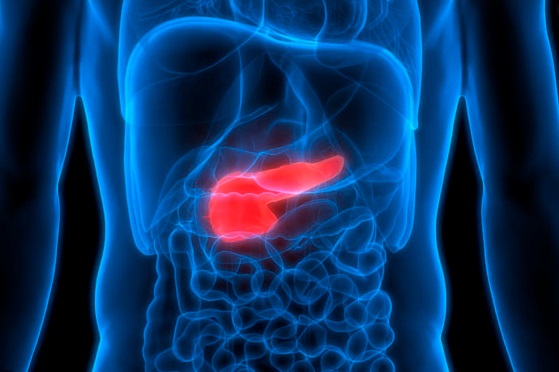 Científicos hallan cómo parar el desarrollo del cáncer de páncreas