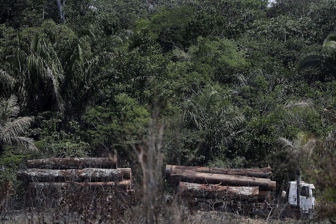 Estimaciones apuntan a una deforestación récord de la Amazonía brasileña