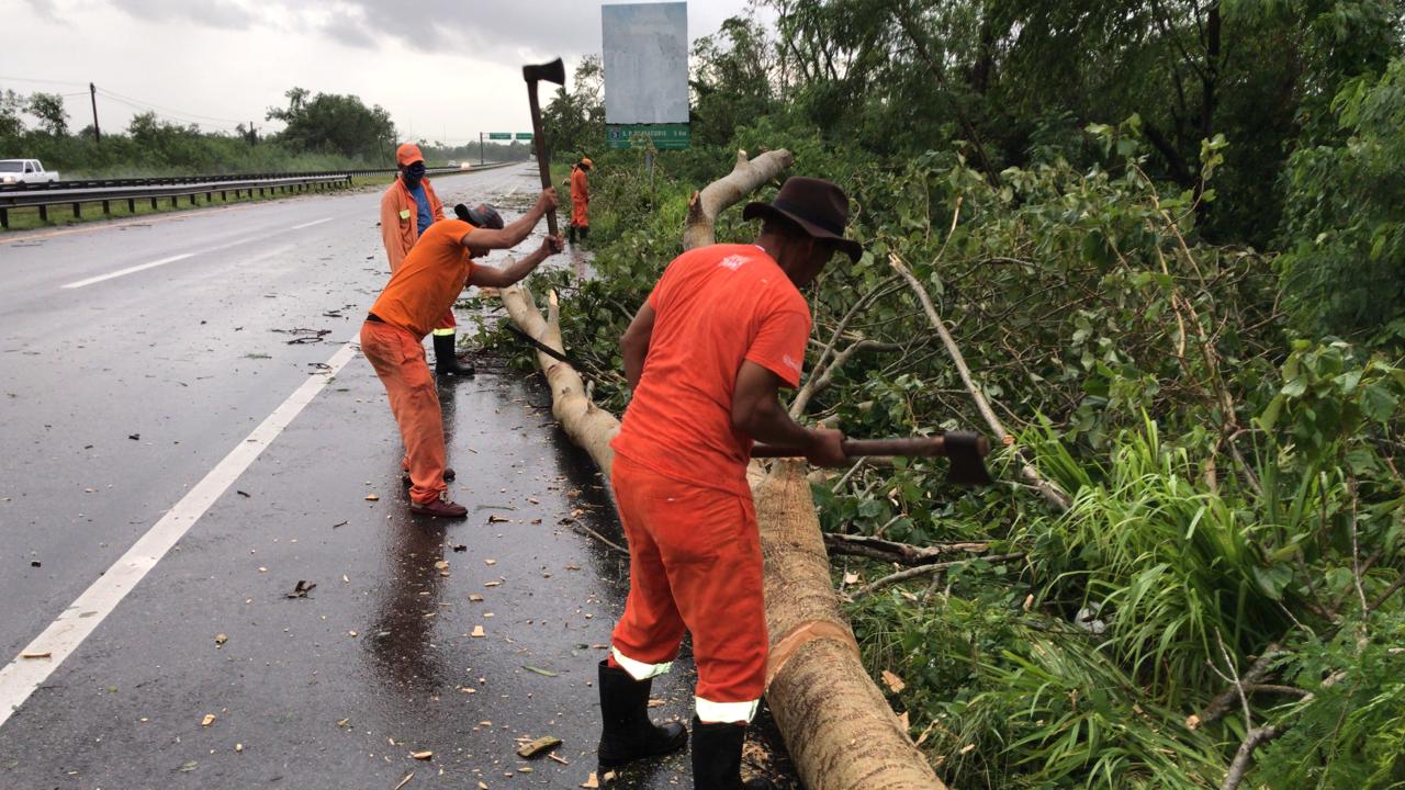 Brigadas del MOPC retiran ramas y escombros  de vías tras el paso de la tormenta Laura