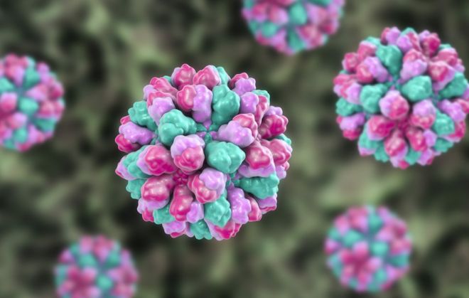Coronavirus: por qué es buena noticia que haya más virus en la Tierra que estrellas en el universo