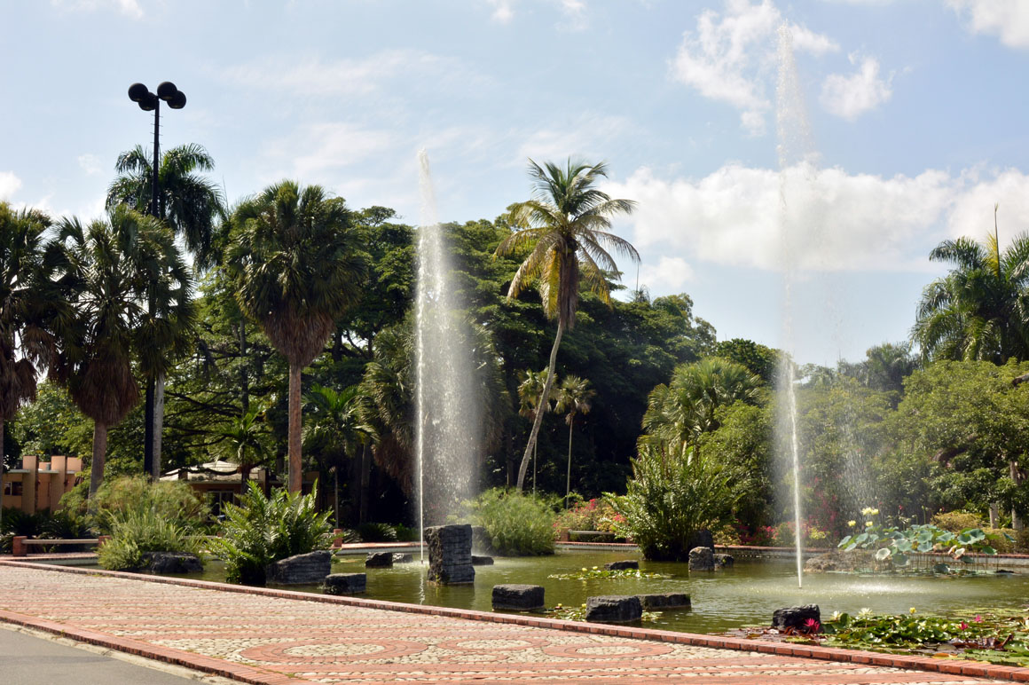 Fundación René del Risco Bermúdez celebrará Festival de Poesía en el Jardín Botánico