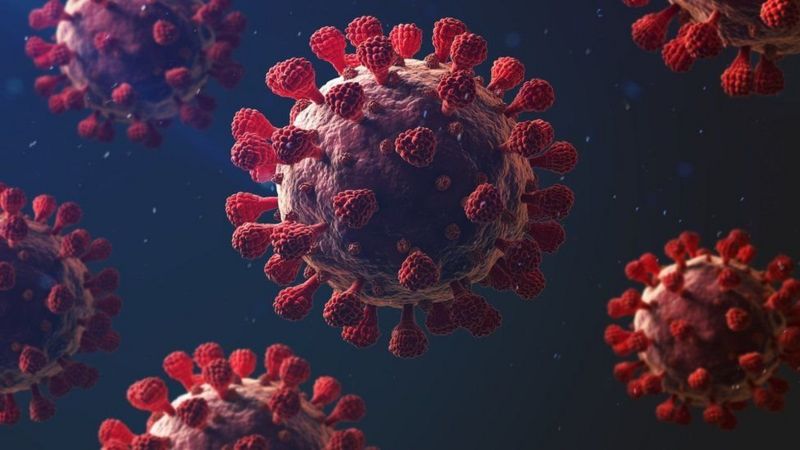 Coronavirus: ¿puede el covid-19 convertirse en un virus endémico?