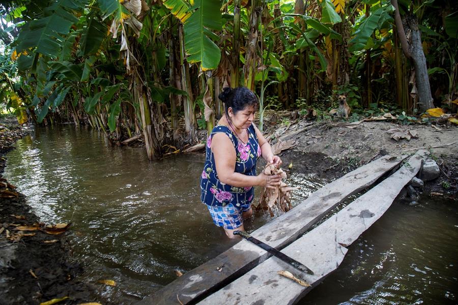 Limber Cruz destaca importancia de mujer rural para la seguridad alimentaria