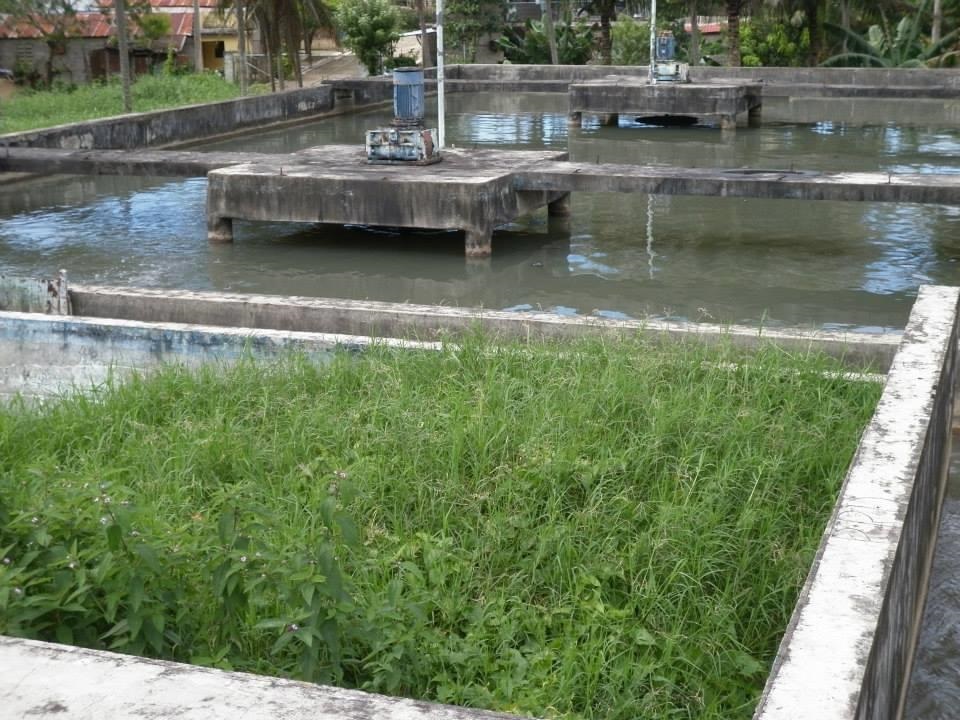 Exigen rehabilitación de planta de agua residual de Moca