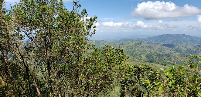 Hambre por riqueza del Pico Diego de Ocampo enfrenta a empresarios con Soeci