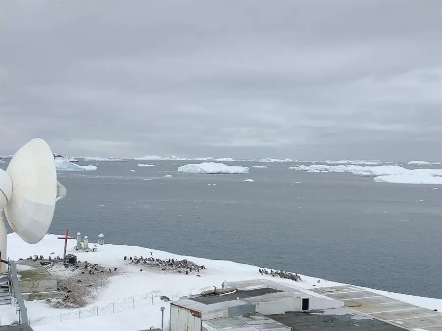 Covid-19 llega a la Antártida con brote en base de Chile