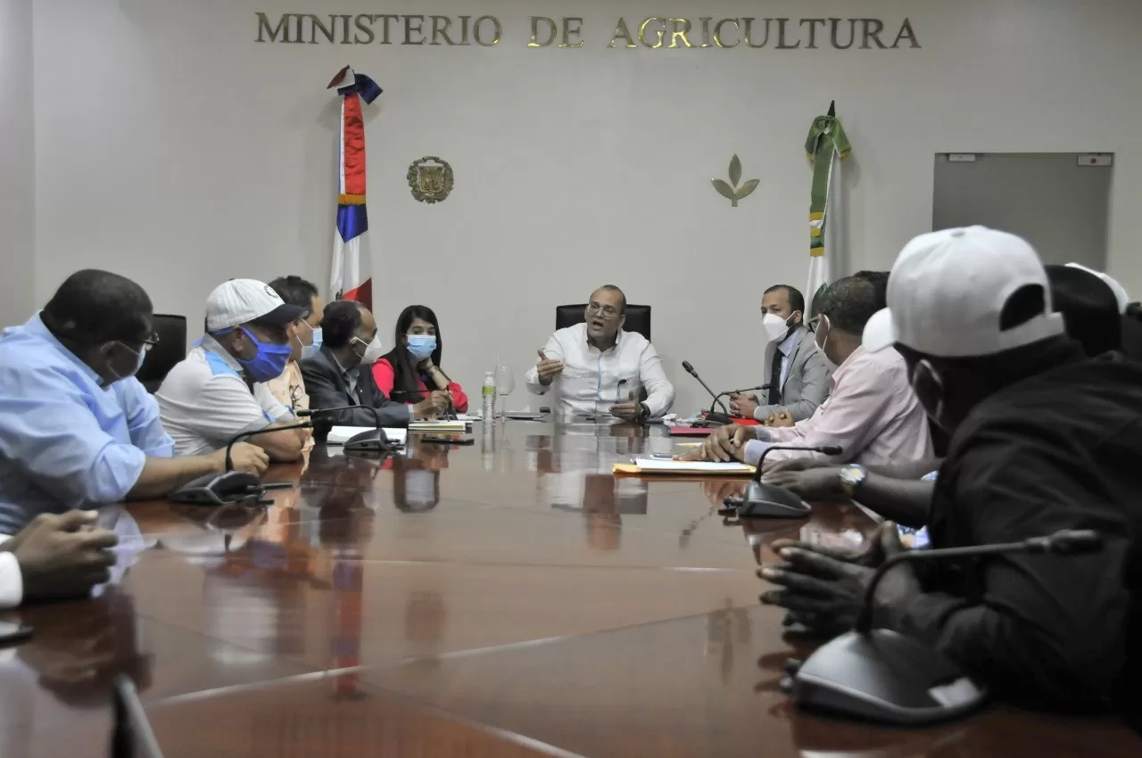Ministerio de Agricultura afirma trabaja para disminuir precios de la cebolla y mejorar comercialización