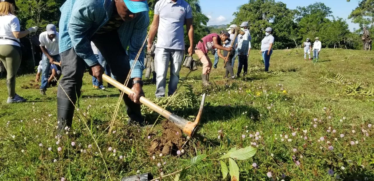 Desarrollo Fronterizo realiza jornada de reforestación en Loma de Cabrera