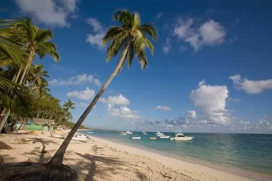 Españoles proponen soluciones a erosión de playas dominicanas