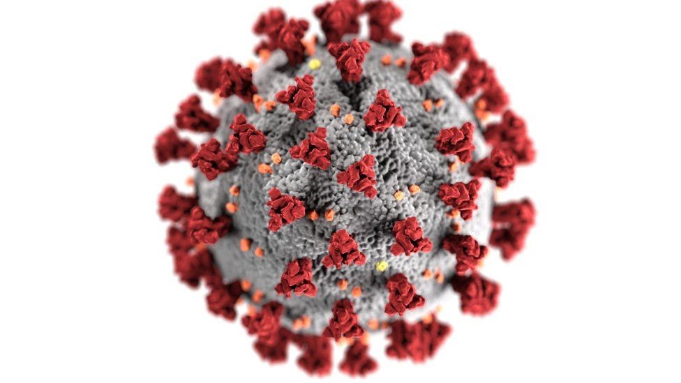 Coronavirus: qué se sabe de la variante de doble mutación encontrada en India