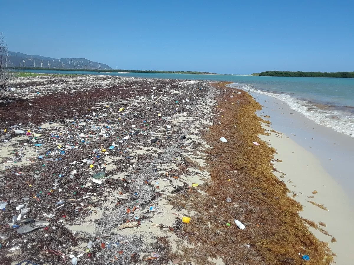 Satélite dominicano pronosticará llegada del sargazo a playas del Caribe