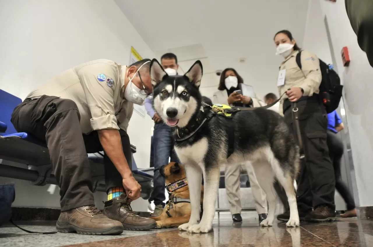 Agricultura y OIRSA insertan unidades caninas aeropuertos