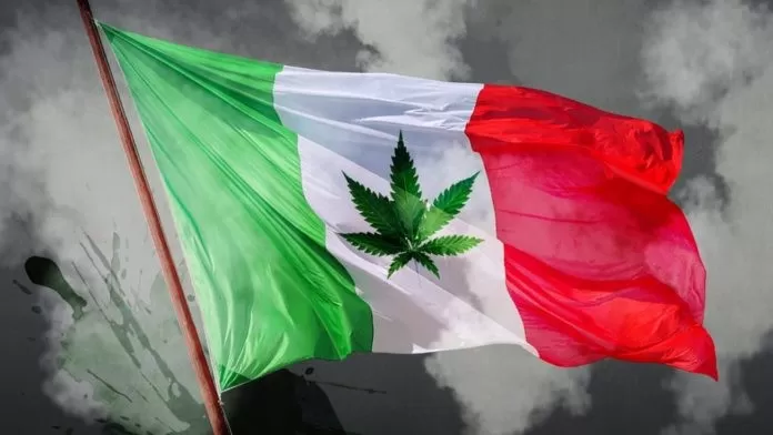 Cannabis en México: humo blanco