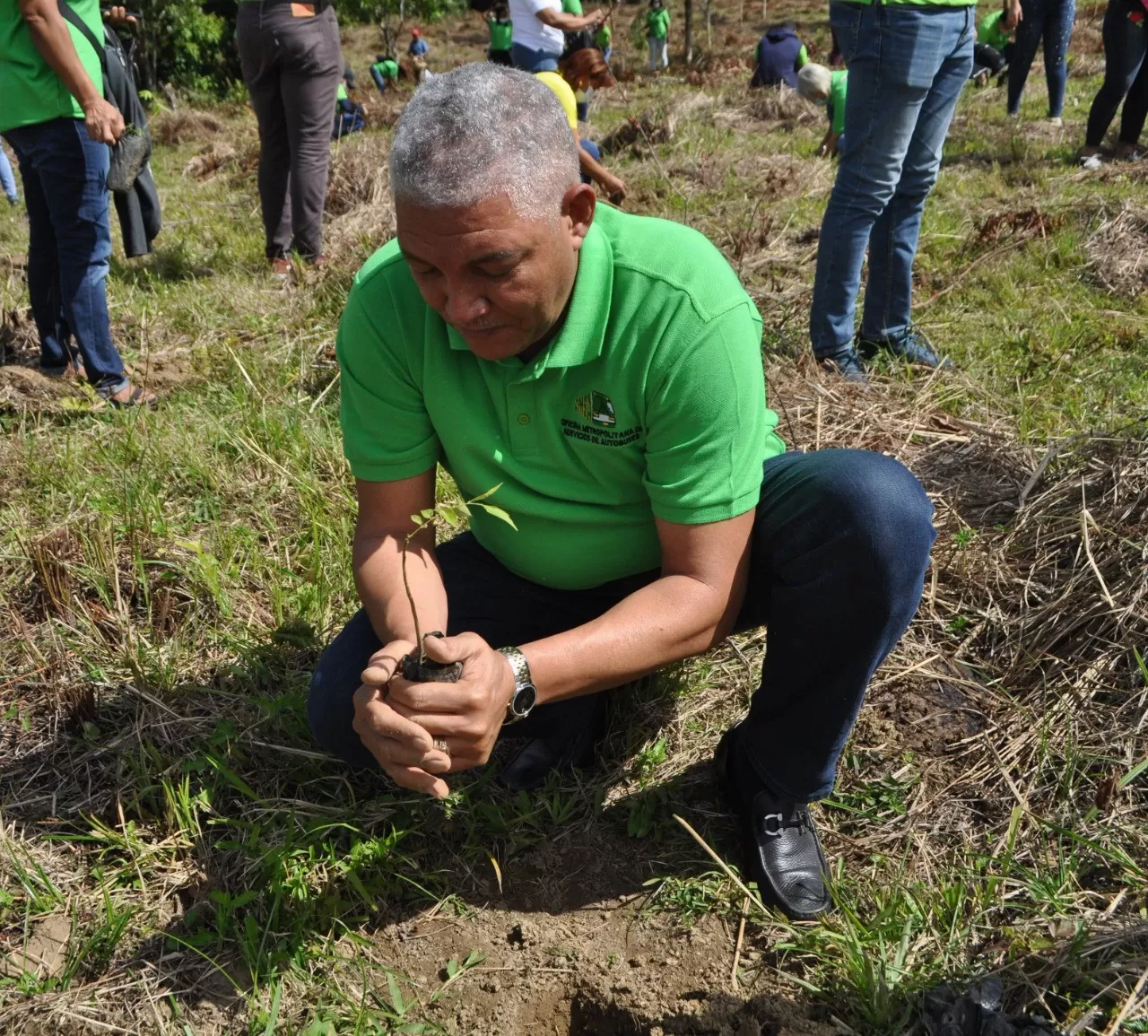 OMSA realiza jornada de reforestación en Villa Altagracia
