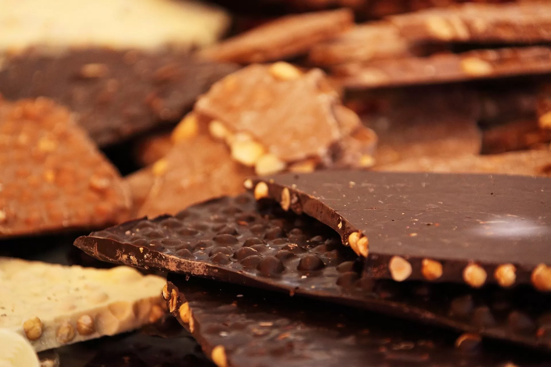 Chocolate dominicano se posiciona como alimento funcional en EE.UU.