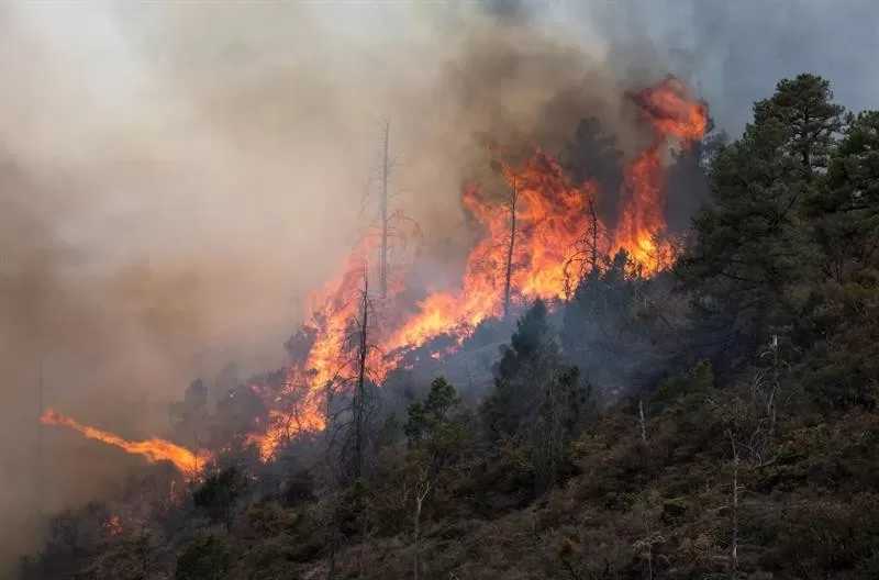 Incendios consumen más de 800 hectáreas durante Semana Santa en El Salvador