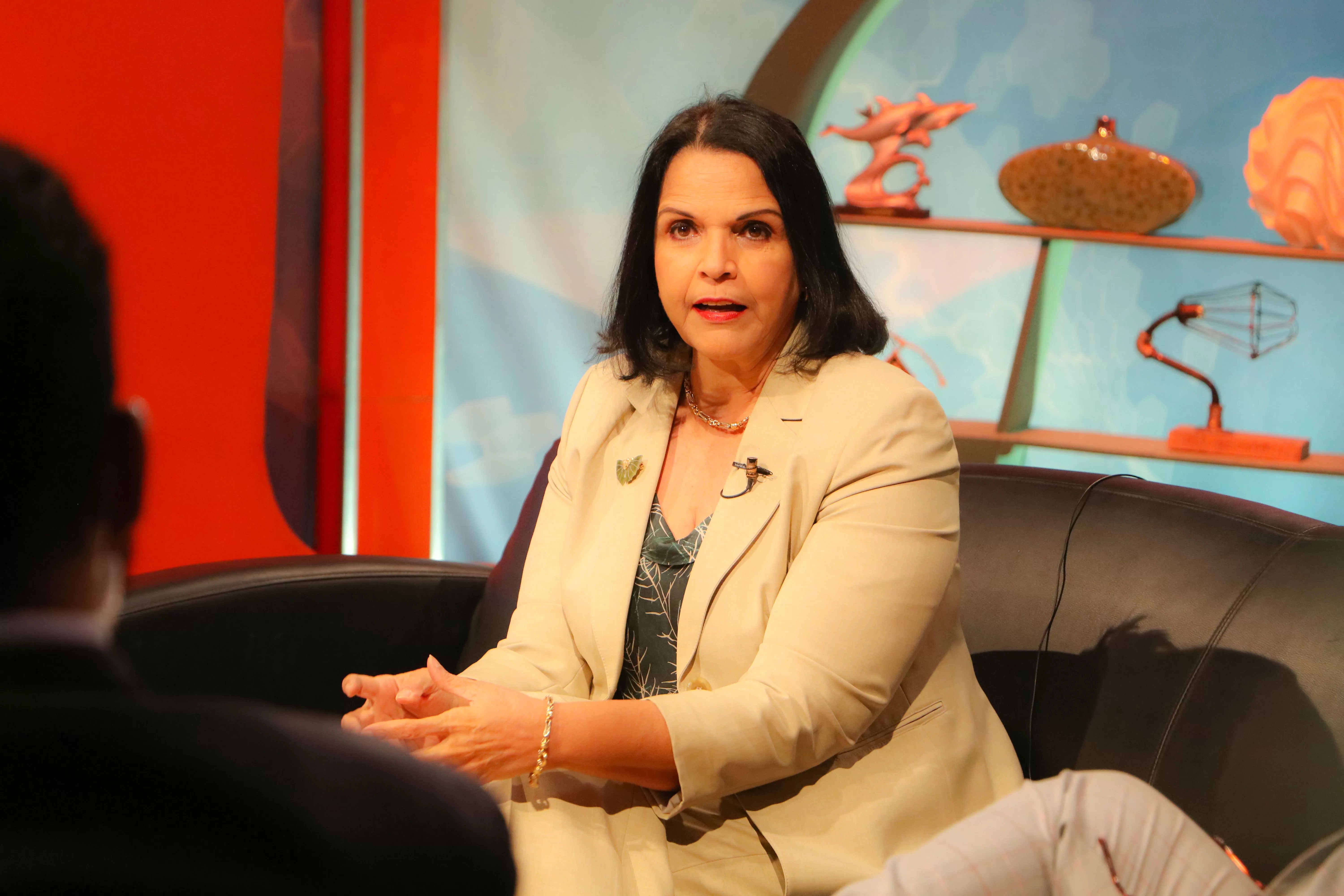 Minou Tavárez Mirabal: “Gobierno del PRM debe garantizar derecho a la protesta”