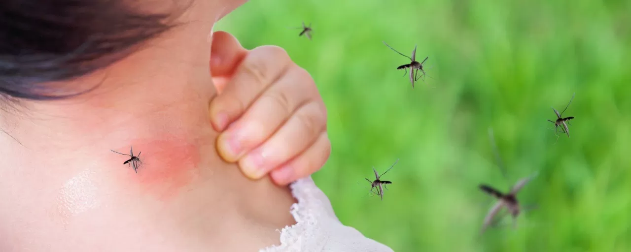 Sociedad de Pediatría llama a jornadas de limpieza para prevenir el dengue
