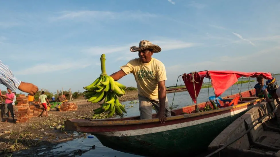 Reconocen aportes de mano de obra migrante en sector bananero