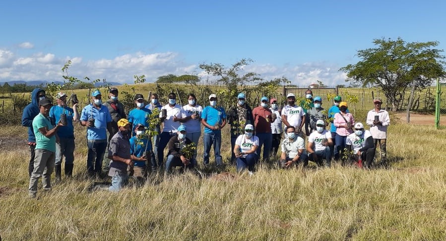 Día del Árbol es celebrado con jornada de reforestación