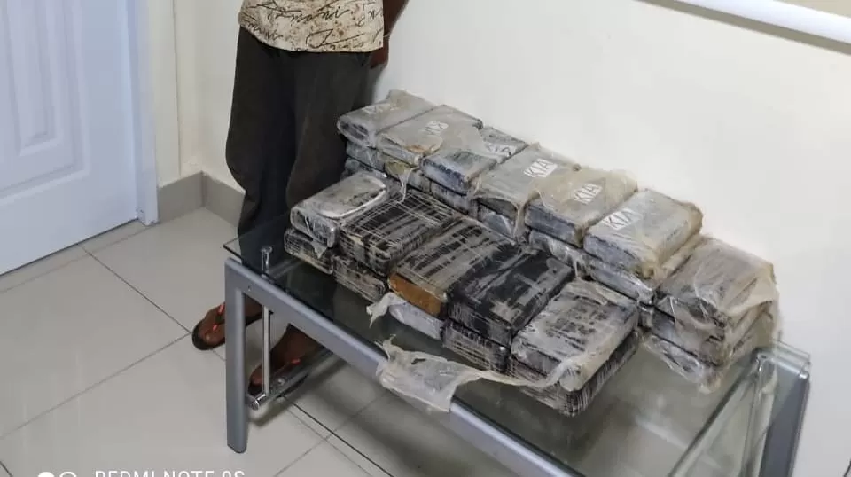 Decomisan 37 paquetes de droga escondidos en carga de plátanos
