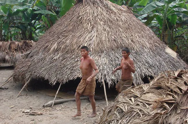Pueblos indígenas piden a humanidad actuar con urgencia para salvar Amazonas