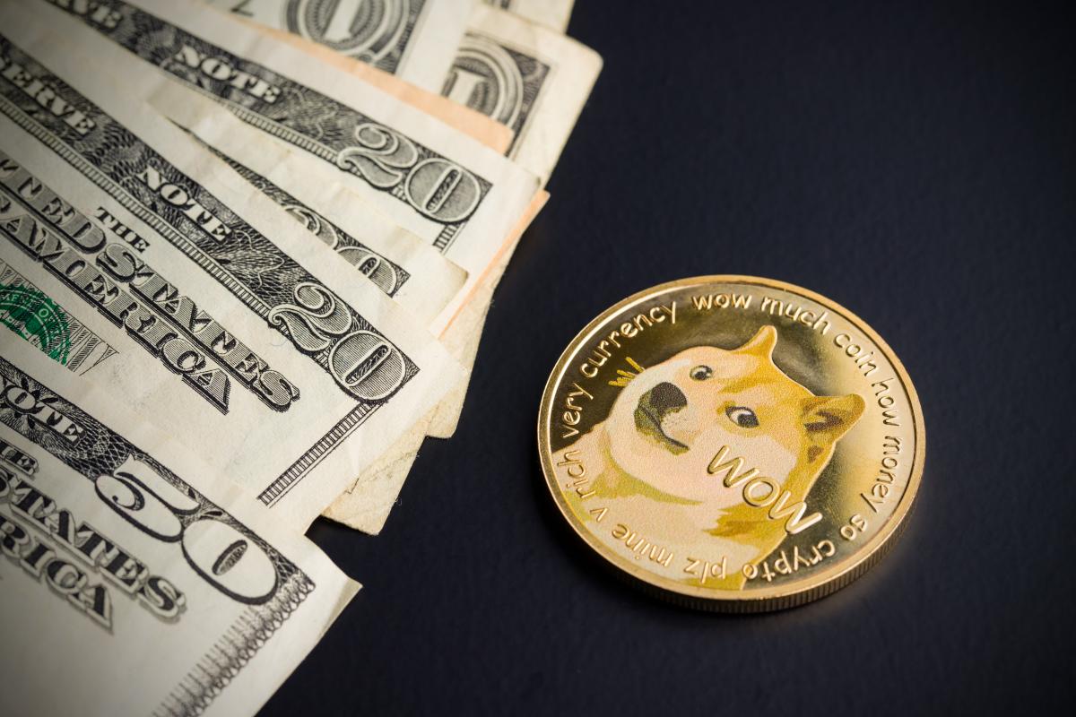 El futuro de DOGE, según sus creadores