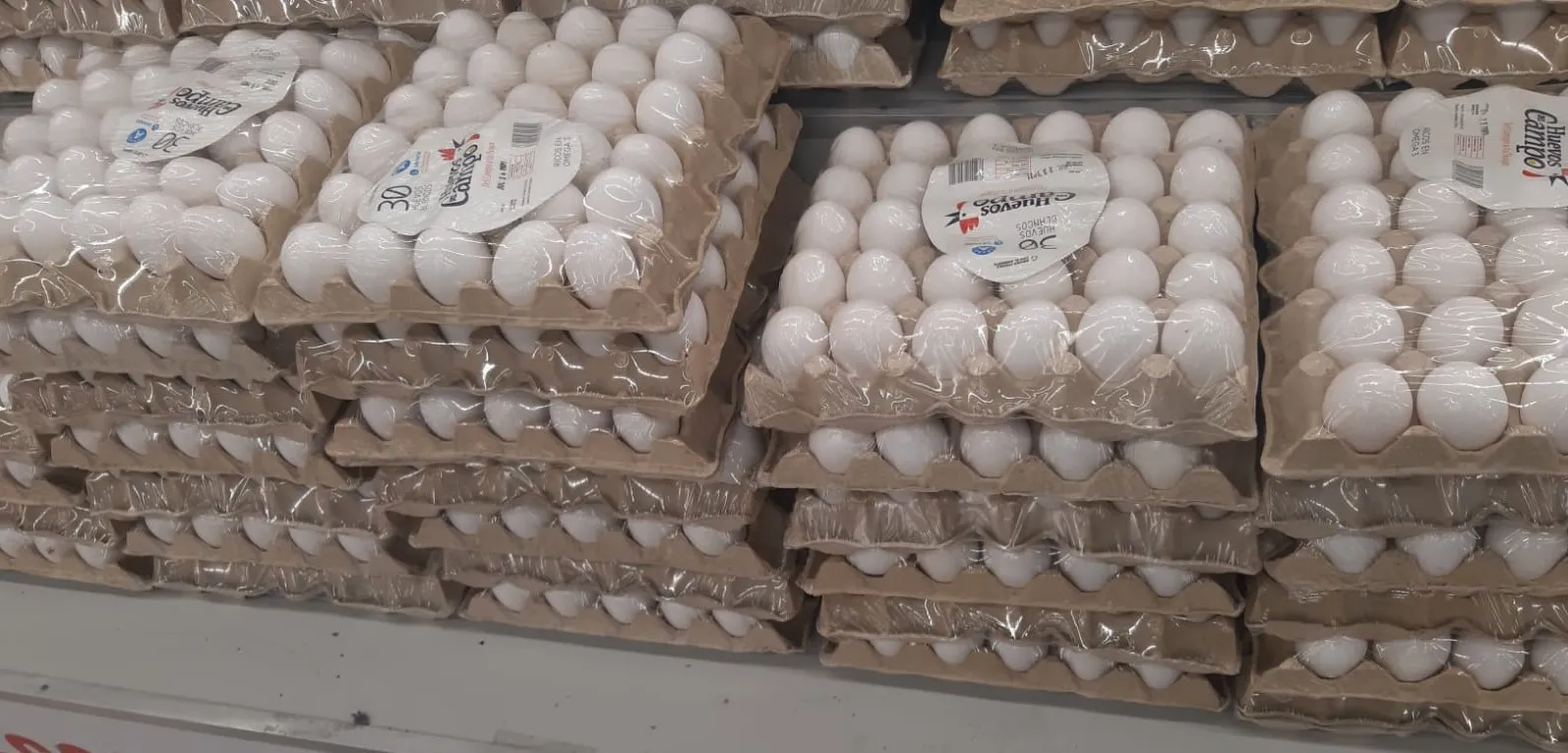 Gobierno suspende exportación de huevos hacia Haití; productores rechazan medida