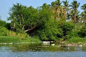Transformada comisión en gabinete para saneamiento de ríos Ozama e Isabela