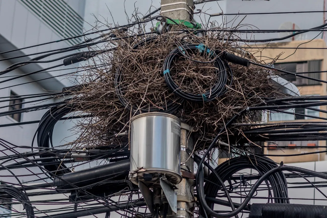 Edesur llama a empresas de TV por cable y telefónicas a reordenar cableado
