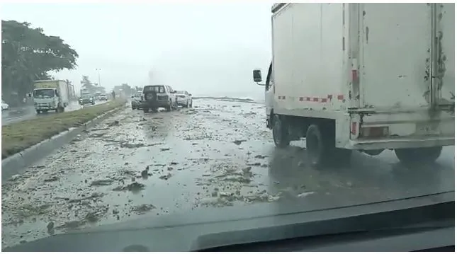 Efectos de tormenta Elsa deja dos muertes en el sur