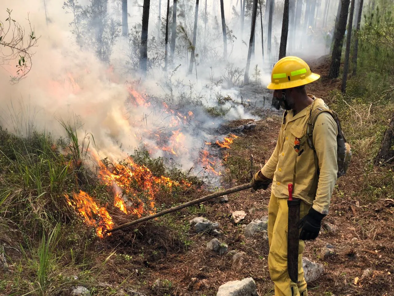 Incendio forestal en Ti Café de la Sierra Bahoruco