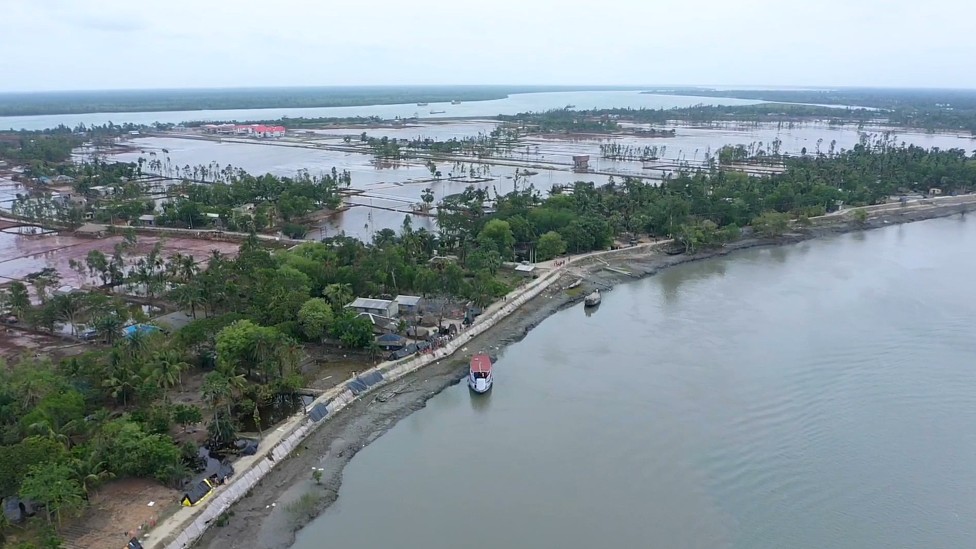 Todos nuestros maridos se fueron: el impacto real del cambio climático en el bosque de manglar más grande del mundo
