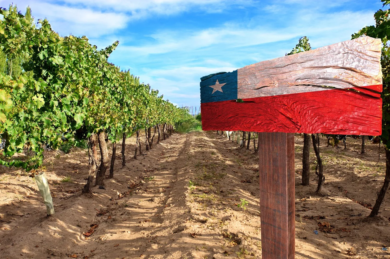 Chile conecta proveedores para el sector silvoagropecuario